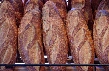 Close-up view of freshly baked loaves of sourdough breads on the display shelf
