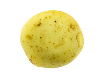 English potato