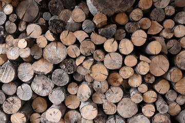 Firewood  stacked up Stack for Oven