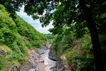 Distant view of mountain river, rocks and green forest in summer