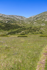 Fototapeta na wymiar Landscape near Belmeken Peak, Rila mountain, Bulgaria
