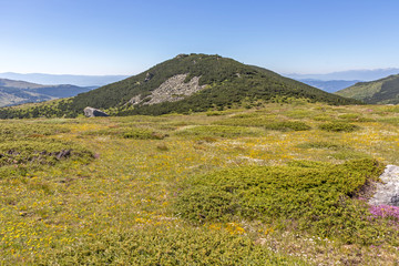 Landscape near Belmeken Peak, Rila mountain, Bulgaria
