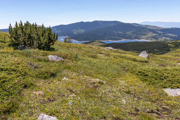 Landscape near Belmeken Peak, Rila mountain, Bulgaria
