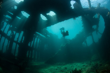 A free diver explores a WWII shipwreck near Guadalcanal in the Solomon Islands. This remote,...