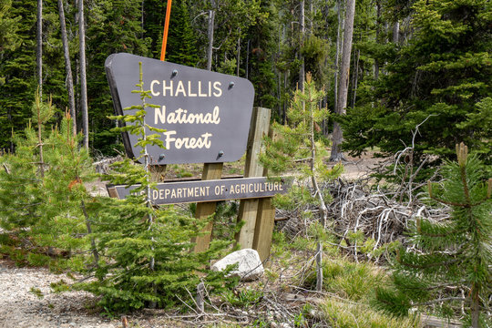 Lowman, Idaho - July 1, 2019: Sign for the Challis National Forest, in central Idaho in the Sawtooth Mountains