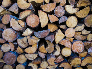 Texture Wood Logs
