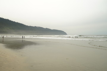 beach and sea