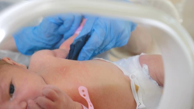 Newborn in incubator, intensive hospital therapy: CCU, ICU, ITU. Doctor in blue gloves holding tiny hand of baby infant. Doctor supervision in maternity clinic. 4k