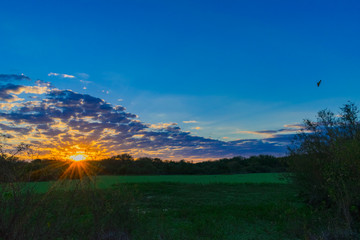 Atardecer en una Laguna de Campo