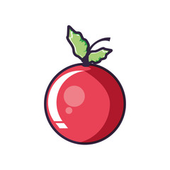 fresh cherry fruit isolated icon