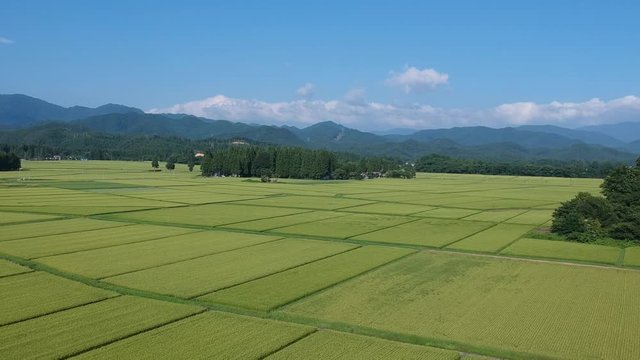 日本の田園風景　空撮　8月