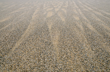 Wet sand on beachin flat shadeless light, wet and hard.