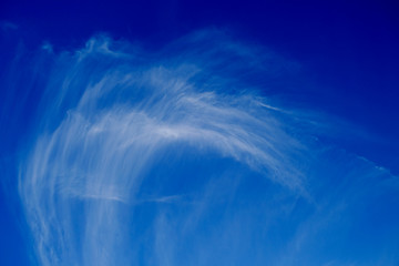 Spectacular horse mare cloud in perfectly blue sky, high cirrus cloud made up of small ice...