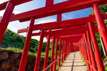 [山口県]元乃隅神社