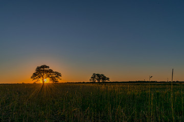 Fototapeta premium Atardecer de Campo - Chaco Argentina