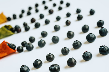 Ripe blueberries lined up in an empty ice cream cone, healthy desserts in summer, isolated on white background with copy space.