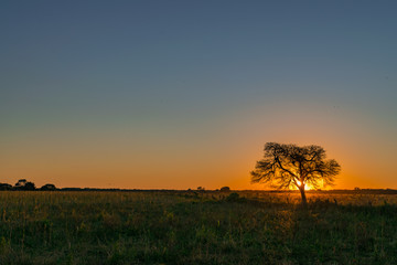 Atardecer de Campo - Chaco Argentina