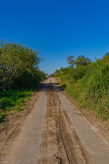Fototapeta na wymiar Caminos Rurales - Chaco Argentina