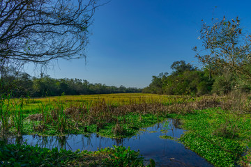 Lago el Salado - Chaco Argentina