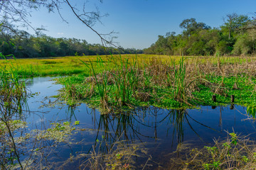 Lago el Salado - Chaco Argentina