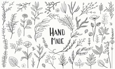Tuinposter set plants hand made, hand-drawn vector © Sugey Ilustra