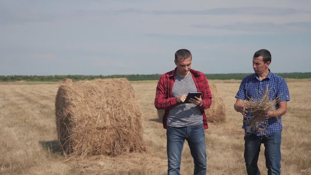 teamwork agriculture smart farming concept. two men farmers workers walking studying a haystack in field on digital tablet. teamwork slow motion video. people agronomist lifestyle botanist farmers