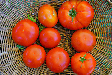 Crate of colorful organic heirloom tomatoes at the farmers market