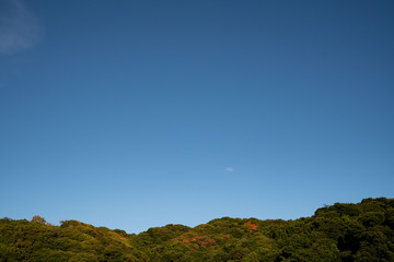 青空