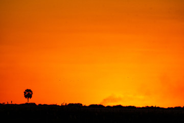 sunset on brush fire Okavango