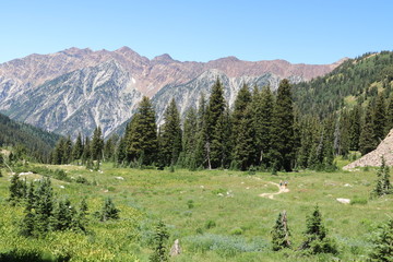 Red Baldy in the Wasatch Mountains near Alta, Utah.
