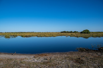 Okavango views