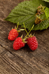Close-up view of raspberries on wooden background. Copy space Home garden. Healthy eating concept.