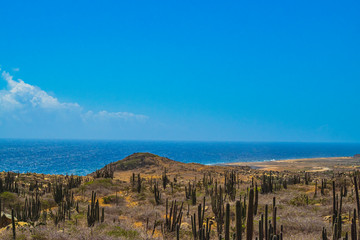 Aruba one happy island