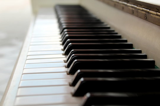 Close-up of piano keys in white and black