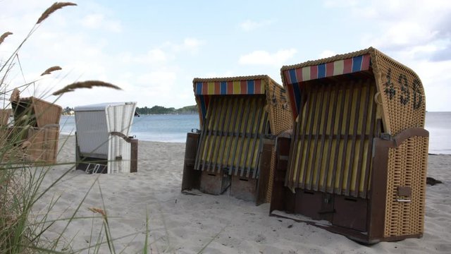Beach chairs on sandy seaside of Germany with plants in foreground