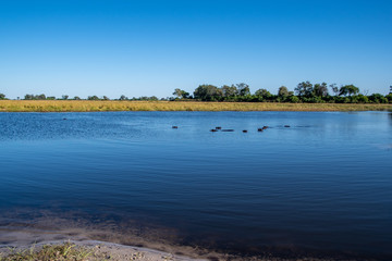 Okavango views