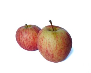 Organic apples from a Guatemalan farm on white background. fruits concept