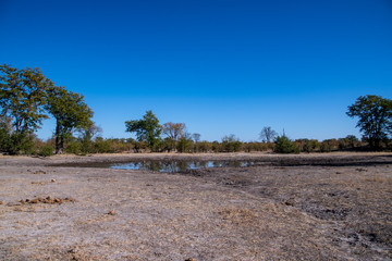 Fototapeta na wymiar Okavango views