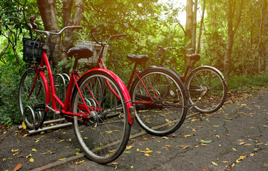 Fototapeta na wymiar Bicycles parking in the park