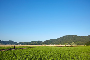 Suncheonman Bay in Suncheon-si, South Korea.