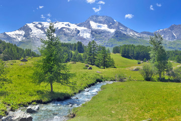 beautiful scenic ladscape in alpine mountain snowy and greenery meadow with a little river - obrazy, fototapety, plakaty