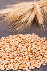 Cereal seeds and ears of rye or wheat grains in background