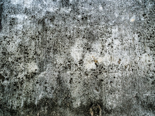The old plaster wall art has water clabata and black fungus, Closeup old weathered concrete wall...