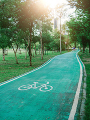Obraz premium GReen bicycle path at Vachirabenjatas Park (Rot Fai Park), Bicycle road sign on asphalt. Leisure activities, Sunny day