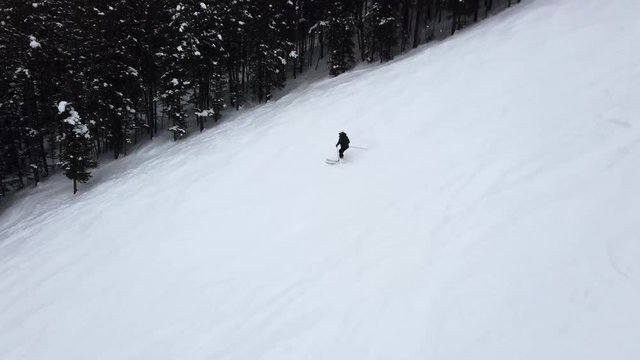 Skier carves their way down a snow covered mountain with fresh snow covered trees in the distance