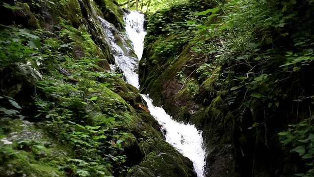 Slow motion view of water cascading down a narrow waterfall with lush green foliage moving in a gentle breeze. Forest hike to a relaxing waterfall scene.