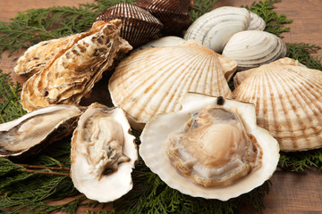 帆立貝と牡蠣