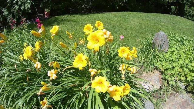 Isola Madre garden and Stresa.Pallanza,Palazzo Borromeo
Lago Maggiore, Italy