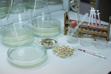 Medical instruments, gastropod , shellfish Laboratory Animals 
