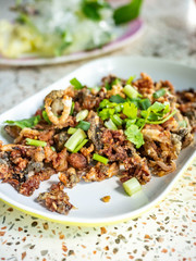 Food Thai,Fried frog with garlic and pepper,Put on a white plate,In the street food shop,delicious